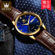Olevs Swiss Certified Brand Watch Mechanical Uhr