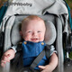 UPPAbaby newborn cushion 3-6 months, compatible with CRUZ and VISTA accessories snugseat