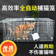 Fully automatic cat trap and cat catching artifact Extra large pedal type folding cat catching cage to rescue stray cats Large thickened cat catching artifact Can hold 1-15 Jin Jin is equal to 0.5 kg