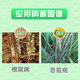 Liangdunjing metalaxyl, fludioxonil, rice, soybean root rot, bakanae disease, seed coating, pesticide and fungicide 10ml