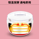 九阳（Joyoung）家用全自动小型酸奶机精准控温 SN10J91 10j91