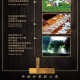 试喝茶叶500g 铁观音新茶叶兰花香浓香型秋茶乌龙茶桂花香买2送杯