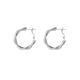 Bai Qixin earrings for women, exquisite twist earrings, earrings for women, light luxury, high-end, simple and versatile metal hoop earrings, a pair of twist earrings