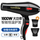 创京懿选电吹风机家用大功率电吹风R3000专业发廊级理发店发型师800w冷热 光明2200W大功率电吹风RCT9928