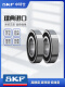 SKF importierte Lager Hochgeschwindigkeit Stumm 6207 6208 6209 6210 6211 6212 6213-2z/RS1 6210-2rs1 [Gummi versiegelt] Lagerhaus Direktschiff