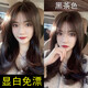 
The first hair dye cream 2024 popular colors show white, cold, black, tea bubbles without waving, dyeing hair at home C677 chocolate color set