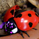 ZF Electric Remote Control Ladybug Toy Children Internet Celebrity Simulation Tricky Induction Moving Insect Reptile Animal Boys Girls Remote Control Ladybug Red 9922+ Screwdriver
