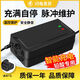 桐汝壁超威通用两轮三轮电动车电瓶车充电器4860729620AH 充满自停款 4840AH通用T孔
