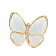 Qlady butterfly brooch, high-end female brand, corsage, suit, anti-exposure, mother-of-pearl brooch, silk scarf buckle, birthday gift for elders