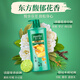 Xia Shilin Root Strong Shampoo 750g Men's and Women's Shampoo For Fragile and Prone to Hair Disruption