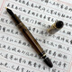 永生699钢笔负压上墨铱金笔大容量大明尖0.5f尖新品 半透黑金夹(实色笔握) F尖0.5mm