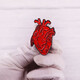 UHFR Anatomy Heart Art Enamel Pin Badge