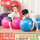 Lierui Yoga Ball Peanut Ball Children's Sensory Training Equipment Balanced Dalong Fitness Ball Pregnant Women's Massage Home Explosion-proof Blue Peanut Ball + Air Bucket