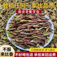 EDO PACK 2024 Yunnan Touchun Tea Purple Bud Tea Ancient Tree White Spore Tea Raw Loose Tea White Spore Half Jin Jin equal to 0.5 kg (large bud)