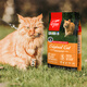 Orijen's extra American version of Desire Chicken Cat Food for adult cats and kittens, grain-free and gill-free imported cat food 5.4kg, Desire Love Cat Chicken Cat Food 5.4kg 0kg _The details are subject to the photo taken