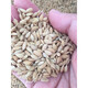 Upland rice seeds, rice seeds, fragrant rice seeds, pearl rice seeds, rice seeds can be saved, Hannuo (glutinous rice), Linhan No. 1 seed, Jin Jin is equal to 0.5 kilograms