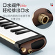 钻石口风琴37键黑霸王专业演奏乐器学生音乐课堂教学指定款口吹琴