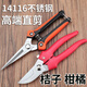 
Pruning scissors grape picking scissors garden fruit tree scissors thick branches flower scissors labor-saving branches flower scissors to prune flowers Boxing Xinnong H De14116 high-end straight scissors