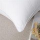 Yalu Feder Velvet Kissen Kernkern einzelner und doppelter Schlafsaal Haushaltsgebärmutterkissen-Kern-Fünf-Sterne-Hotel Kissen Original Baumwoll Flexible Kissen Original Baumwolle Einseitige [Anti-Kompressionsresistenz weich und komfortabel] Single Pack