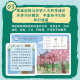 [New genuine version ~ Jingcang delivery] Super mathematics course on the journey--basic level (6 volumes) 14065**6 [Invoiceable]
