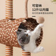 ZEZE cat climbing frame cat nest warm winter cat scratching board sisal giraffe does not take up space cat scratching post keeps warm in winter impulse daily limited special offer giraffe cat climbing frame small does not take up space