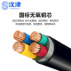Shenjin ZR-VV22-0.6/1KV-4*16mm national standard copper core armored flame retardant power cable 1 meter