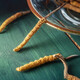 Lei Yunshang Cordyceps sinensis 1g Tibet High-altitude Fresh Dried Cordyceps sinensis Non-segmented Grass Facilities for 4 refined Chinese medicines Cordyceps sinensis 1g/4 roots