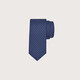 Ferragamo Herren Blue Tie 0774227