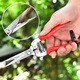 JPHZNB Farmer's Helper Fruit Picking Scissors Fruit Thinning Scissors Grape Flower Thinning Scissors Pruning Pruning Scissors Citrus Pepper Special Fruit Picking Scissors Straight Head Dip Plastic Scissors
