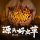 Yuanjiang трава cordyceps sinensis 3 корни/г около 3,3 грамм 10 корней высокогорного подарка Cordyceps подарок на кот отца подарок
