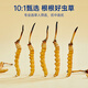 Lila und blaues Blumenmeer Cordyceps sinensis Erst getrockneter Cordyceps Tonikum für Urlaubs Geschenkbox 3 Stück/g 30 Gramm [ausgewählt und Mengenpaket]