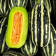 Beishu Bingtangzi melon seeds collection Boyang melon seedlings Boyang No. 9 melon seeds 10 capsules 2 bags sweeter
