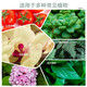 Finland imported compound fertilizer Ruijia Zhudinghong special fertilizer hyacinth hydrangea fertilizer vegetable and fruit tree general fertilizer