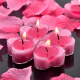 FOOJO heart-shaped candle romantic proposal candle birthday candle wedding anniversary decorative atmosphere candle pink 10-pack with free petals