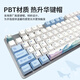 罗技（Logitech）K845机械键盘 游戏键盘 办公键盘有线全尺寸办公家用背光电竞吃鸡键盘 K845-茶轴-鲸落