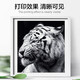 富航适用惠普P1505硒鼓HP laserjet p1505n打印机专用墨盒易加粉碳粉盒晒鼓 高配版硒鼓【打印2000页，上机即用】