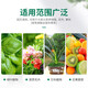 Urea fertilizer for growing vegetables, organic fertilizer, quick-acting nitrogen fertilizer, chemical fertilizer, general compound fertilizer for flowers, special water-soluble fertilizer for agriculture, large particle urea 10Jin, Jin is equal to 0.5kg