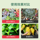 Shi Kefeng Nutrient Soil 20L Vegetable Planting Universal Flower Peat Soil Planting Soil Fertilizer Seedling Planting Tree Balcony Bonsai