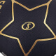 斯伯丁（SPALDING）篮球highlight黑金星形7号球7片皮比赛训练室内外耐磨篮球76-869Y