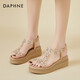 Daphne (DAPHNE) sandals for women's summer high heels summer new single shoes heels thick sole sponge cake student rhinestone fairy style elastic band gold 37 (235mm)