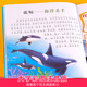 
Marine Biology World Encyclopedia Color Picture Phonetic Edition Children's Books and Books Over 689 Years Old Picture Books Story Books for Grade 1 and 2 Primary School Students Fun Popular Science Encyclopedia Complete Set of Extracurricular Books with Pinyin Children's Encyclopedia - Animal World (Audio Companion Reading Colors