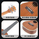 Farlleyna Ukulele Femenino Estudiantil de nivel de entrada para principiantes Avanzados Guitarra pequeña para niños Modelo infantil de 21 pulgadas [regalo] 23 pulgadas