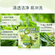 Liushen family 3-pack green tea licorice soap 125g*3 (hand and face soap, refreshing and refreshing)