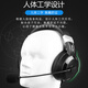 Shenglai E28 headset headset for school high school entrance examination, college entrance examination, English listening and speaking test, human-computer dialogue special recording and reading oral learning headset with microphone microphone USB interface