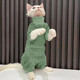 秋冬装打底无毛猫衣服斯芬克斯卫衣复古猫咪可爱小型宠物衣服潮牌