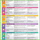 Oxford Children's English Oxford Discovery Science Series Erstausgabe Level 123456 Grundschule Englisch Lehrbücher und Bücher Oxford Discover4 (Buch + Übungsbuch)