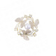 Tabuliu sense niche butterfly brooch niche versatile temperament anti-exposure suit birthday gift 232#vip1