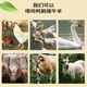 Fine rice bran farm rice bran fresh chicken duck goose feed rice bran natural rice husk fine rice bran feed rice bran 10Jin Jin is equal to 0.5 kg