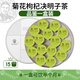 老谷头菊花枸杞决明子茶金银花养生茶蒲公英根桑葚干茯苓牛蒡根礼品礼物