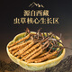 雷允上野生冬虫夏草4根/g 50g约200根西藏那曲虫草礼盒高端送领导